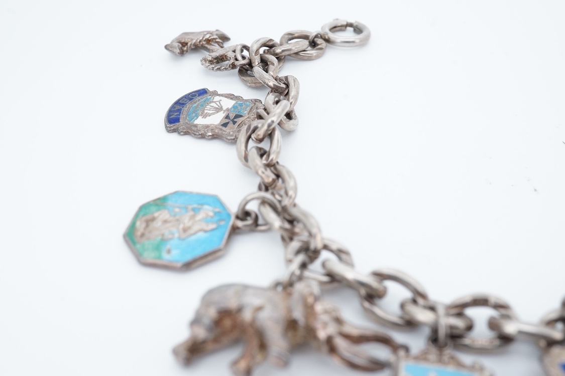 A small group of sterling, white metal and and other jewellery, including a charm bracelet, frog brooch, etc.
